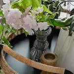 Appartement Ts Gold New Town & Free Private Parking *