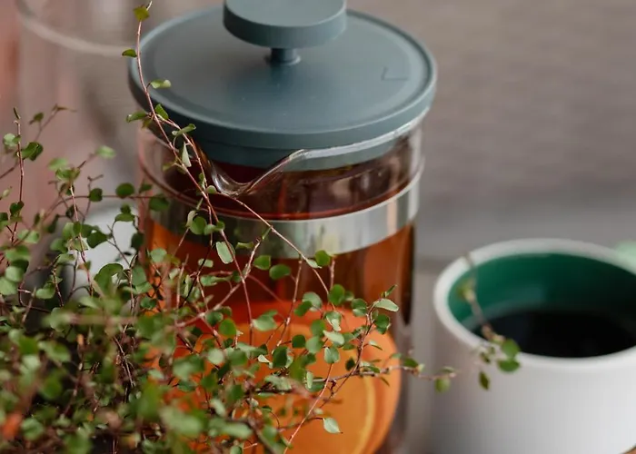 Appartement Ts Gold New Town & Free Private Parking *